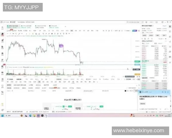 加密赌场兴起比特币和以太坊成为主要支付方式的趋势分析